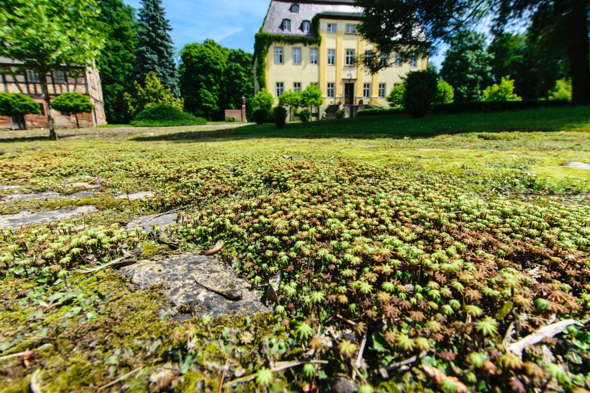 Rittergut/Gutshaus Grossgestewitz Naumburg  Exterior photo